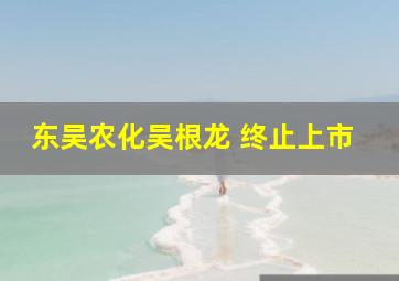 东吴农化吴根龙 终止上市